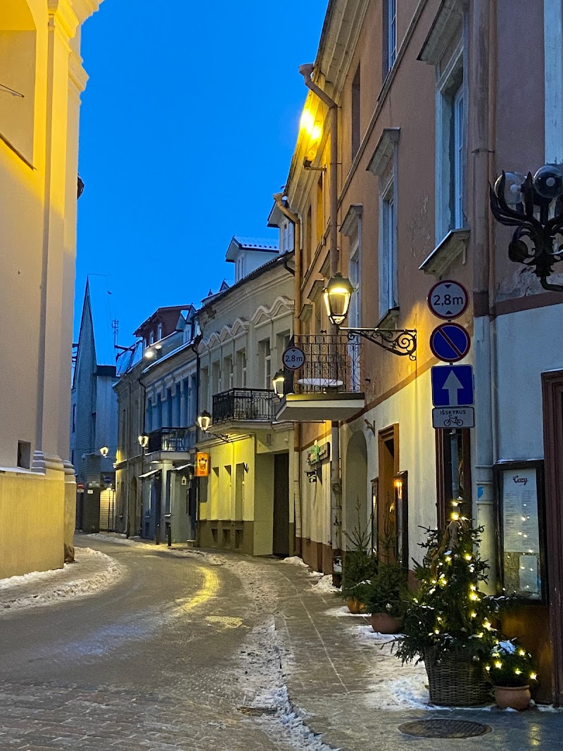 Vilniaus ekskursijos