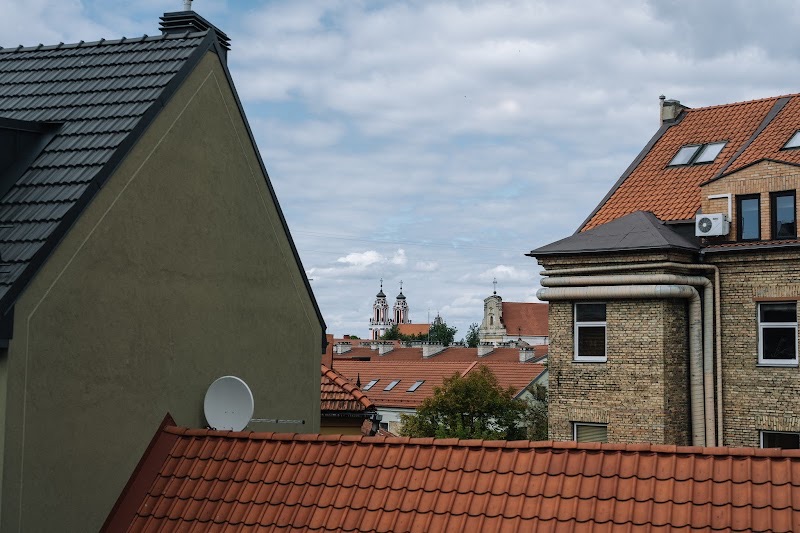 Artagonist Art Hotel - art hotel in Vilnius