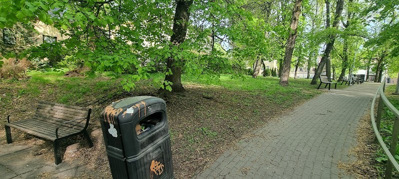 Parkelis